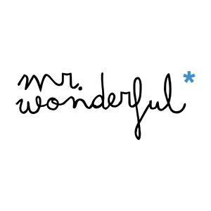 mrWonderful